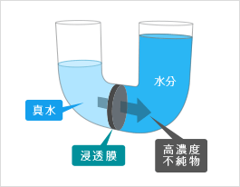 通常の浸透圧の場合