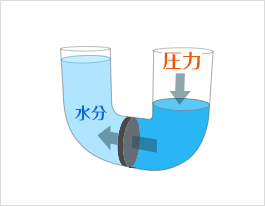 逆浸透圧の場合